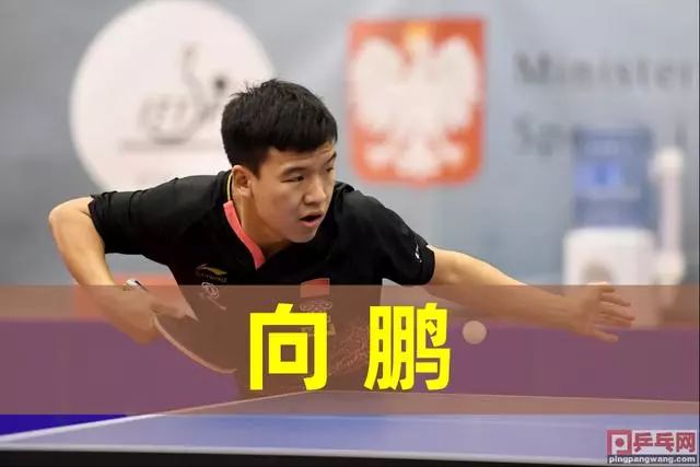 的完美结合 的完美结合