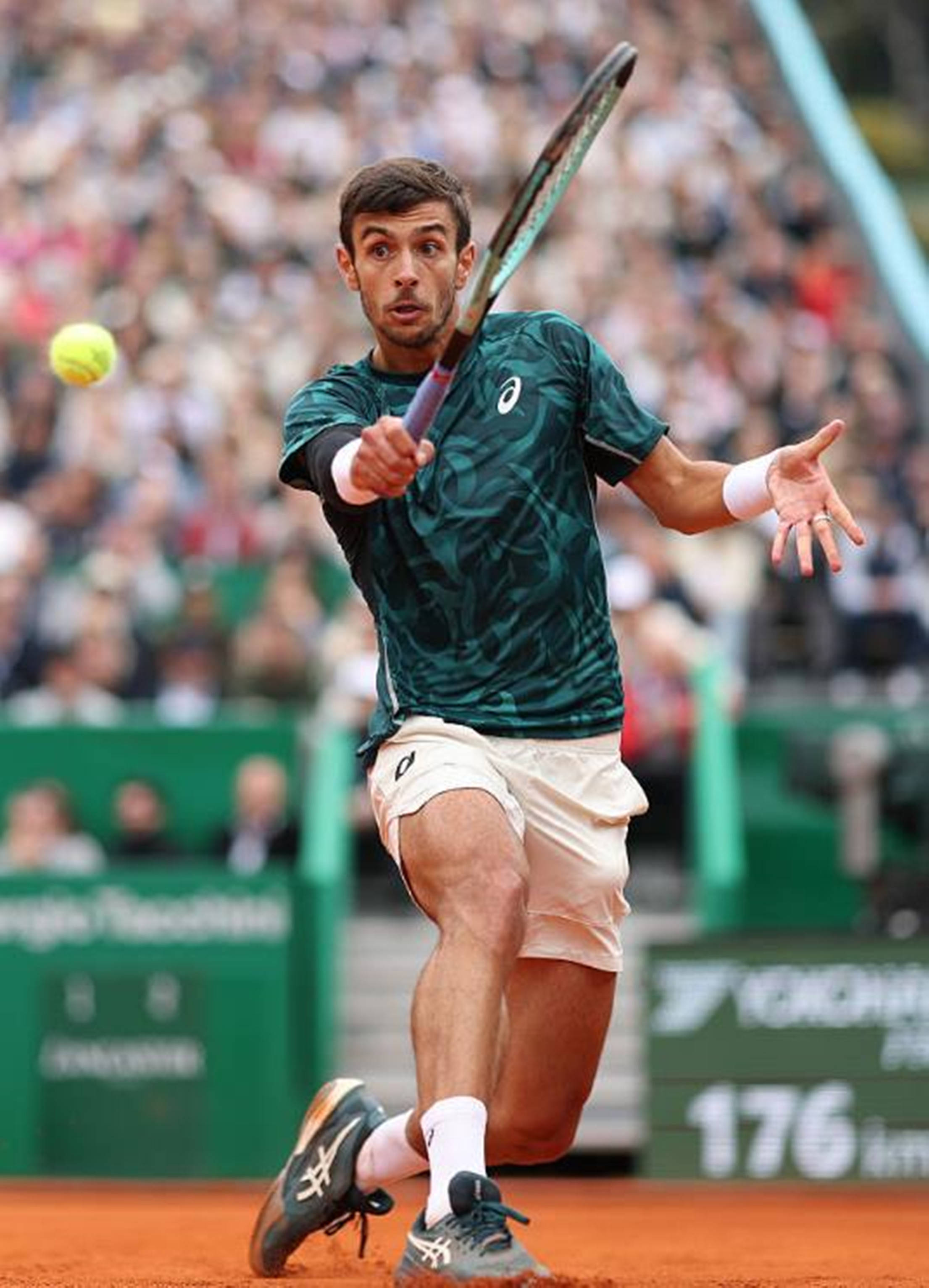 的稳定性 的稳定性